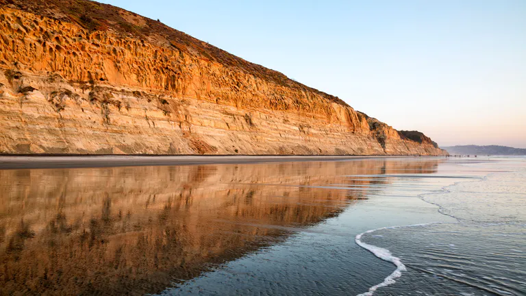 torrey pines